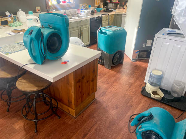 Best Water damage mitigation services  in Elkhorn City, KY