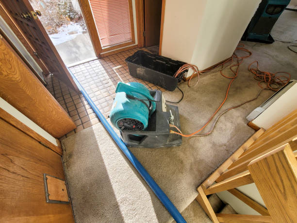 Best Sewage cleanup and water damage restoration  in Elkhorn City, KY