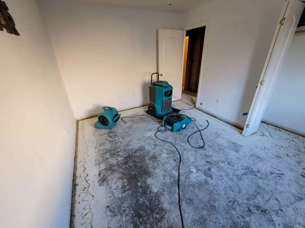  Elkhorn City, KY Water damage restoration Pros