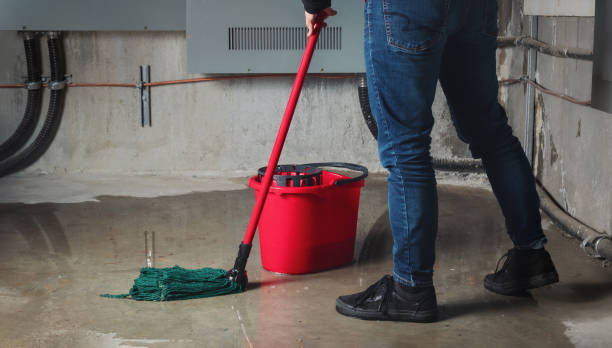 Best Professional water damage repair  in Elkhorn City, KY