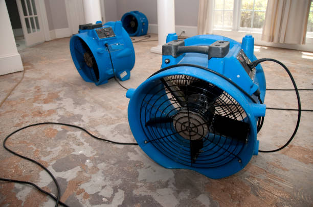 Best Commercial water damage restoration  in Elkhorn City, KY