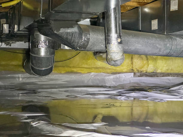 Best Local water damage restoration  in Elkhorn City, KY