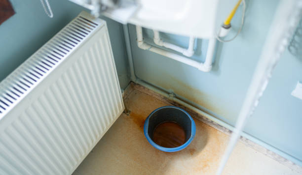 Best Flood restoration services  in Elkhorn City, KY