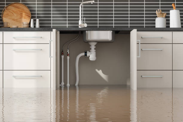 Best 24-hour water damage restoration  in Elkhorn City, KY
