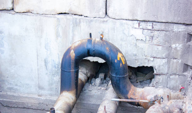 Best Ceiling water damage repair  in Elkhorn City, KY