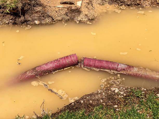 Sewage cleanup and water damage restoration in KY