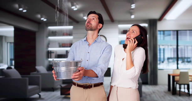 Best Water damage restoration near me  in Elkhorn City, KY