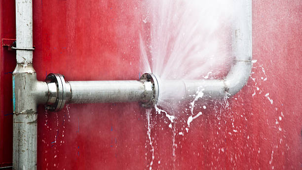 Best Basement water damage restoration  in Elkhorn City, KY